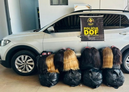 DOF apreende R$ 2,5 milhões em cabelo humano em Ponta Porã