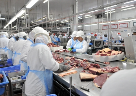 Setor industrial de MS criou 14 mil novas vagas entre janeiro e outubro de 2025