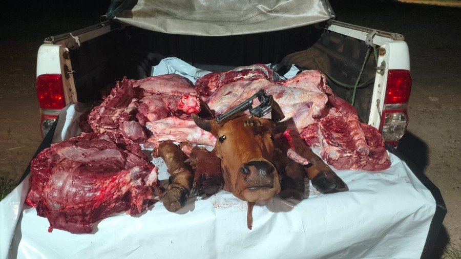 Batayporaense é preso por abigeato e arma de fogo na zona rural de Santa Rita do Pardo