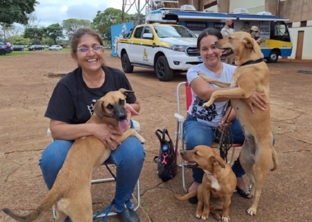 Caravana da Castração inicia 2026 com atendimentos em cinco municípios de MS