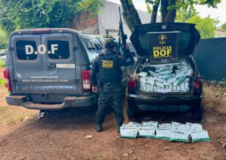Carro é abandonado com agrotóxicos avaliados em R$ 725 mil na área rural de Ponta Porã