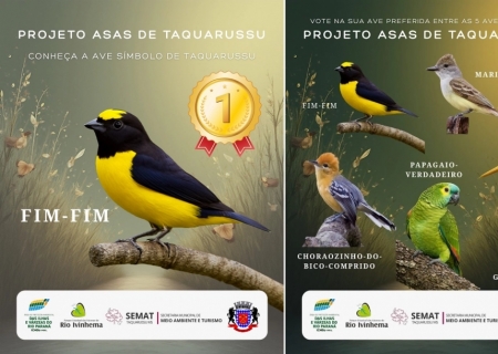 Taquarussu oficializa Fim-fim como ave símbolo e reforça compromisso ambiental