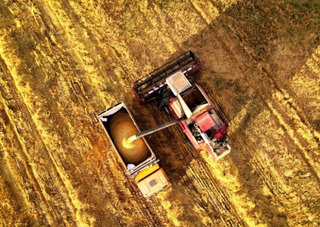 Transformando A Agricultura Brasileira: Dados De Satélite Aprimoram As Estimativas De Produtividade Da Cana-De-Açúcar