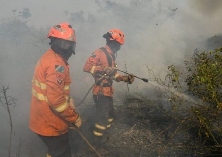 MS reforça monitoramento e combate a incêndios após aumento de focos no Pantanal