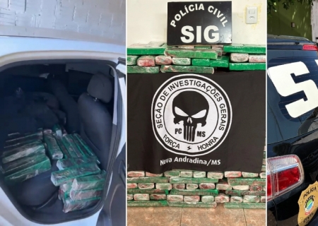Polícia Civil apreende quase meia tonelada de maconha e prende homem em Nova Andradina