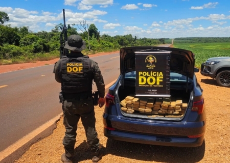 Carga de maconha avaliada em R$ 650 mil é apreendida pelo DOF em Dourados