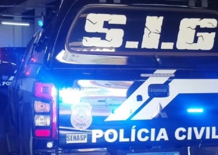 Polícia Civil prende mulher por furto a comércio em Ivinhema