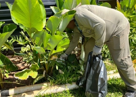 MS intensifica ações integradas contra o Aedes aegypti em 2026