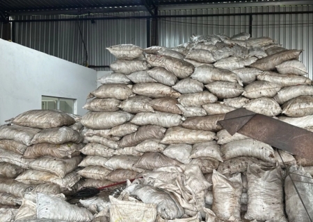 Polícia fecha carvoaria clandestina e prende gerente e proprietário em Campo Grande