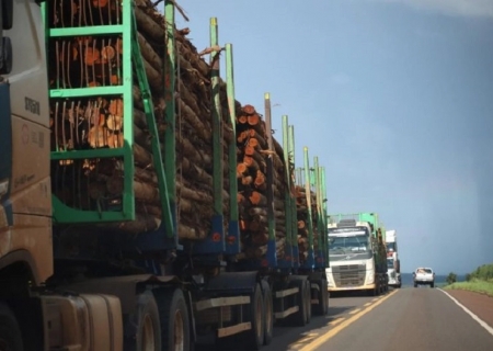 Governo de MS firma concessão da Rota da Celulose com investimento de R$ 10,1 bilhões