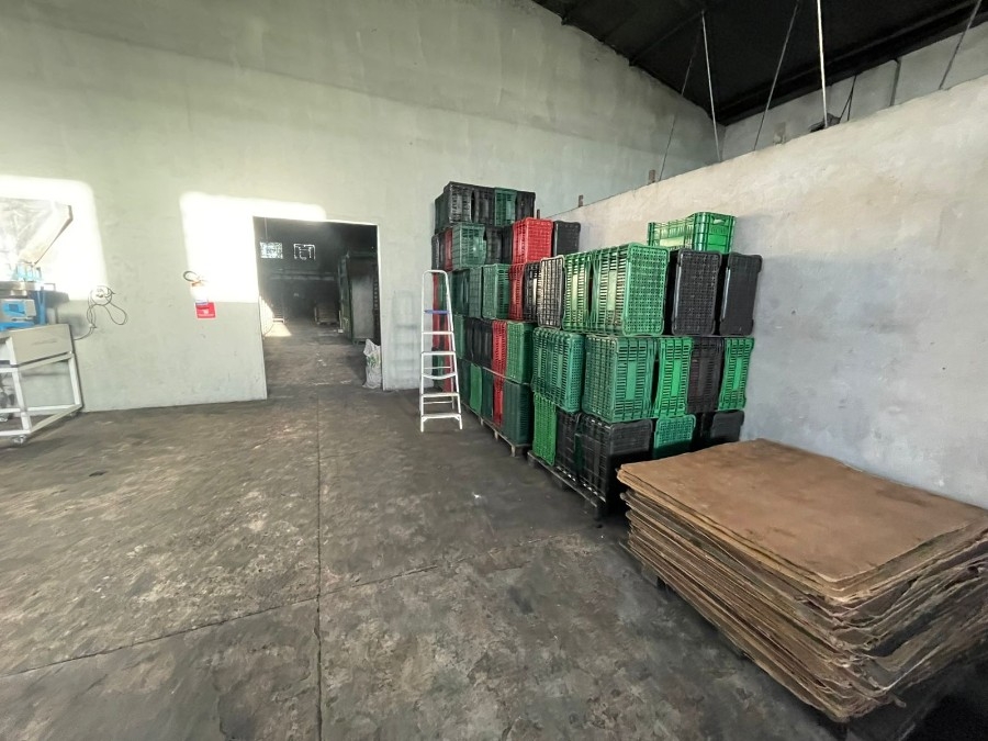 PF combate contrabando de dispositivos eletrônicos fumígenos em Campo Grande