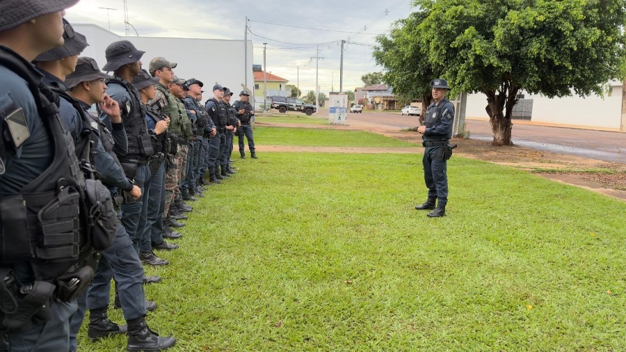 Operação Falcão apreende 1,84 tonelada de maconha e reforça combate ao crime no campo