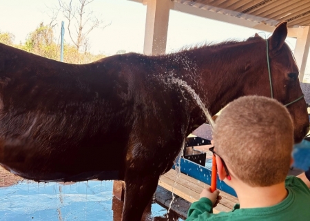 Centro de Equoterapia da PM convoca eleição para nova diretoria em Nova Andradina