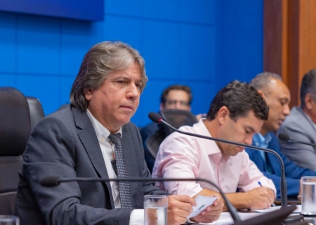 Caravina lidera audiência pública e cobra soluções para falhas no fornecimento de energia em MS