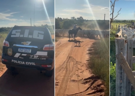 Pai e filho voltam à prisão após liberdade provisória com novo lote de gado furtado em Nova Andradina