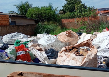 Prefeitura endurece fiscalização contra o Aedes aegypti e prevê aplicação de multas