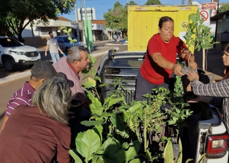 Doação de mudas mobiliza população e promove educação ambiental em Batayporã