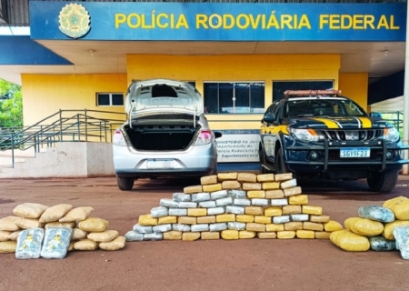 PRF apreende quase 60 quilos de skunk em Miranda