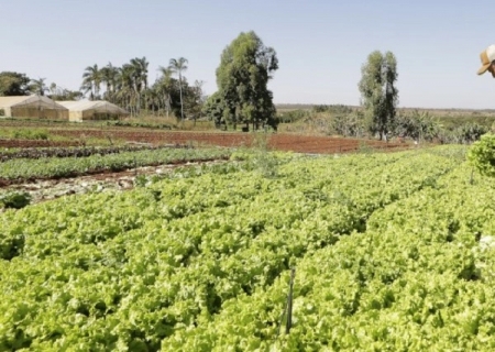 Vereadores propõem uso de áreas públicas para fortalecer agricultura familiar