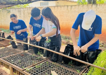 Arboriza Via amplia participação e leva novas turmas ao cultivo de mudas em Batayporã