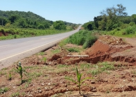 MPE fiscaliza irregularidades ambientais na MS-382 em Bonito