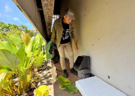 MS supera 4,2 mil casos prováveis de chikungunya e confirma 10 mortes em 2026