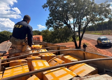PRF apreende 1,29 tonelada de maconha e pistola em caminhão na BR-262