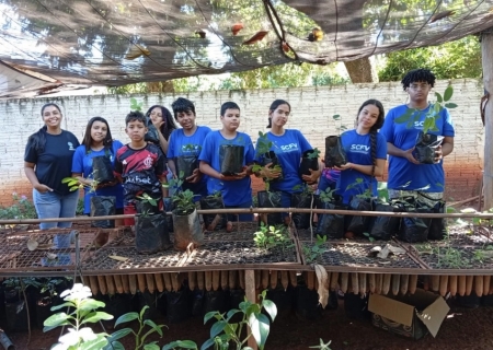 Projeto Arboriza Via avança com nova turma e amplia cultivo de mudas em Batayporã