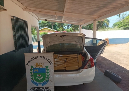 Polícia Militar apreende mais de meia tonelada de maconha e causa prejuízo superior a R$ 1 milhão ao tráfico em Amandina