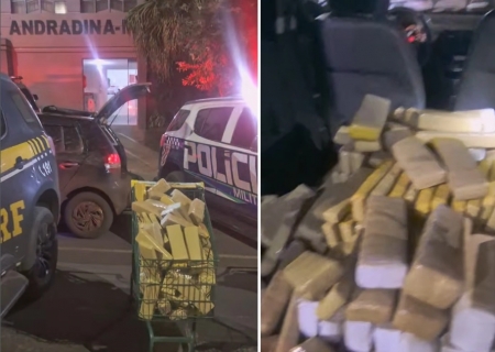 Ação conjunta apreende mais de meia tonelada de maconha em Nova Andradina