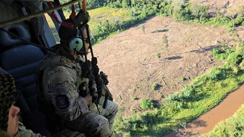 PF e Senad destroem 809 toneladas de cannabis na fronteira de MS