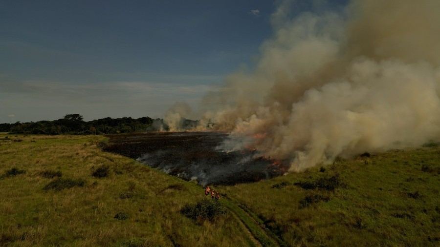 Queima prescrita no Parque Estadual das Várzeas do Rio Ivinhema reforça prevenção contra incêndios florestais em MS