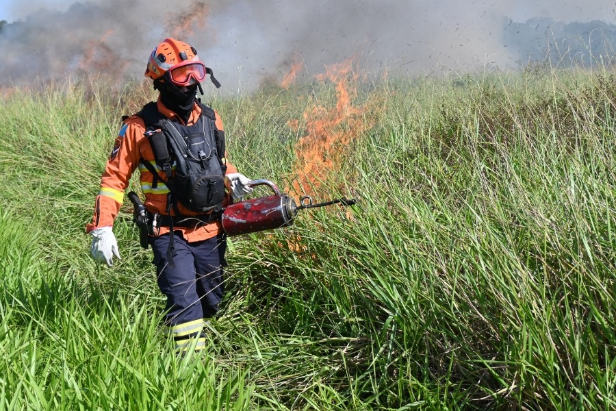 Queima prescrita no Parque Estadual das Várzeas do Rio Ivinhema reforça prevenção contra incêndios florestais em MS
