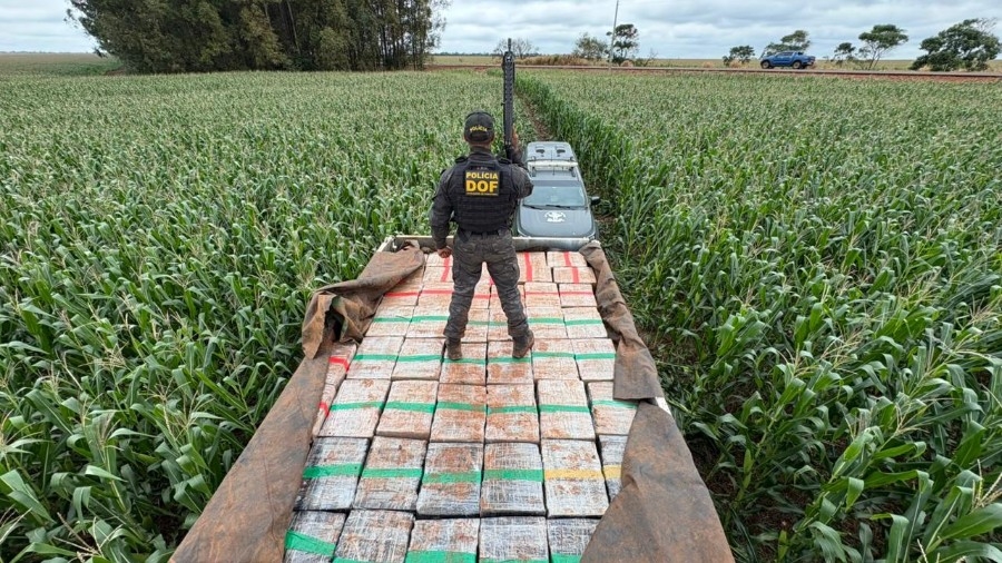 DOF apreende mais de 6 toneladas de maconha em ação milionária em Dourados