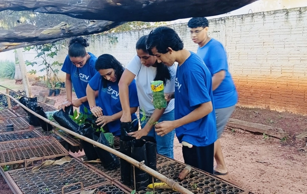 Arboriza Via conclui etapa de produção de mudas e prepara plantio na MS-276