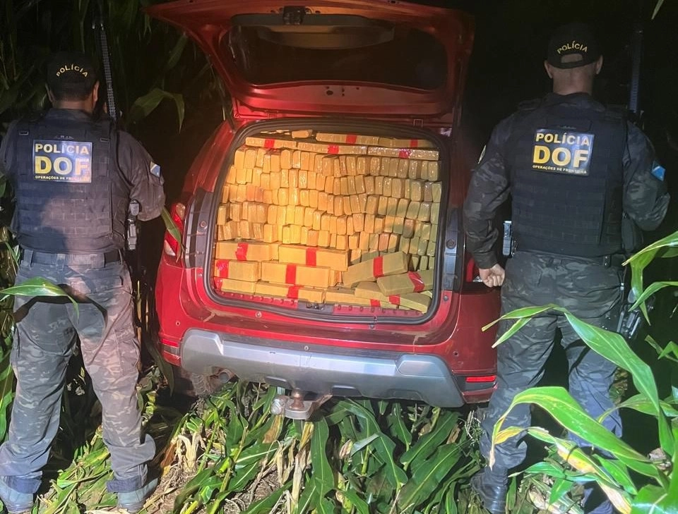 DOF apreende mais de uma tonelada de maconha e recupera veículo furtado após fuga em lavoura de milho