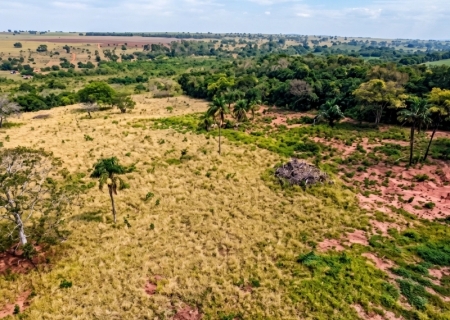 Ministério Público investiga desmate irregular de área de Mata Atlântica em Anaurilândia