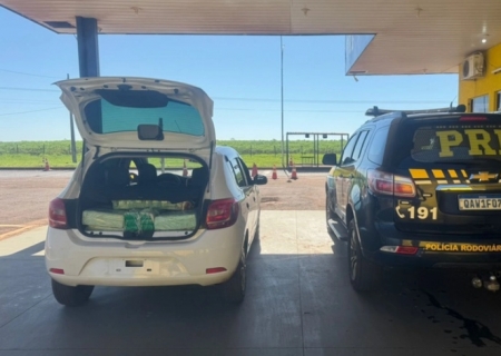 Policiais sentem cheiro de maconha durante abordagem e apreendem mais de 200 kg da droga em Naviraí