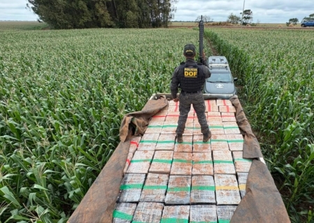 DOF apreende mais de 6 toneladas de maconha em ação milionária em Dourados