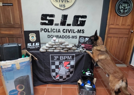 Investigação revela envio de drogas por transportadoras e leva à apreensão em Dourados