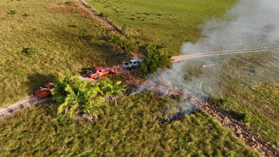 Bombeiros fazem queima prescrita para prevenir incêndios
