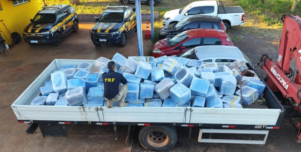 PRF encontra 4,7 toneladas de maconha em meio à carga de sementes de girasol em Três Lagoas