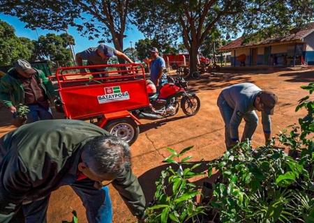 Ações da Semana do Meio Ambiente incentivam coleta seletiva e arborização em Batayporã