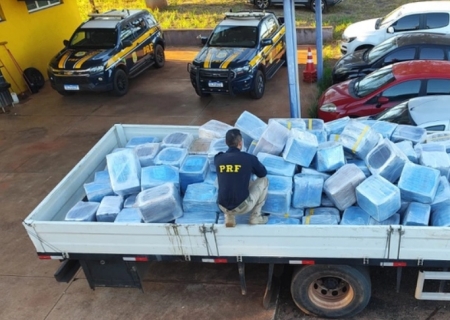 PRF encontra 4,7 toneladas de maconha em meio à carga de sementes de girasol em Três Lagoas