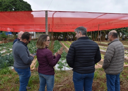 Inovação rural aproxima tecnologia da agricultura familiar em MS