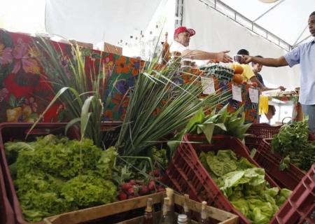 Reforma tributária: governo adia para 2027 exigência de CNPJ para autônomos e produtores rurais