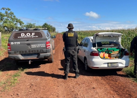Carro com mais de uma tonelada de maconha é abandonado em milharal em Ponta Porã