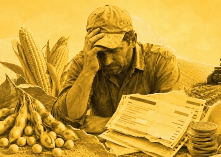 Inadimplência no agro sobe para 8,8%, maior patamar da série histórica