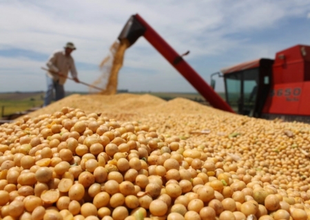 Soja brasileira atinge maior cotação do ano: R$ 142,65 a saca