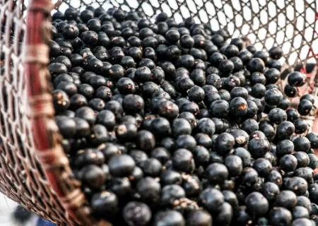 China facilita exportação de polpas e frutas congeladas brasileiras